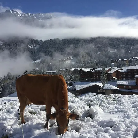 Le Mazot Lucie * Valmorel